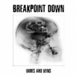 Breakpoint Down : Wires and Veins